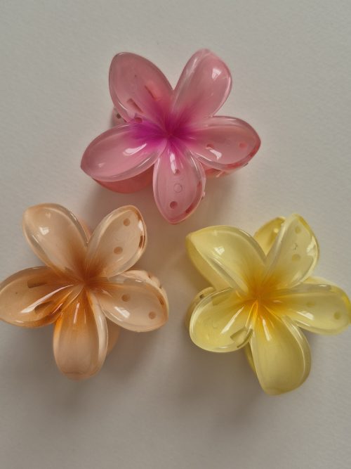 کلیپس پلومریا کوچک