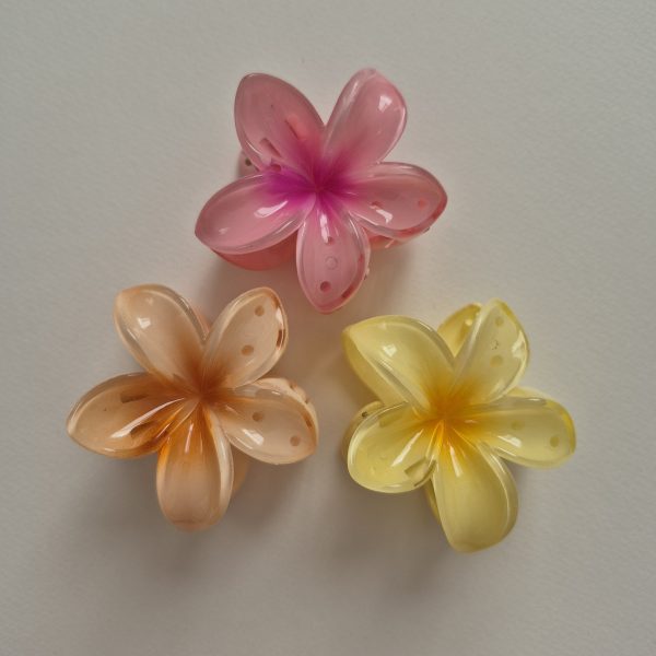 کلیپس پلومریا کوچک